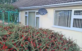 Wenford Dorma Bungalow